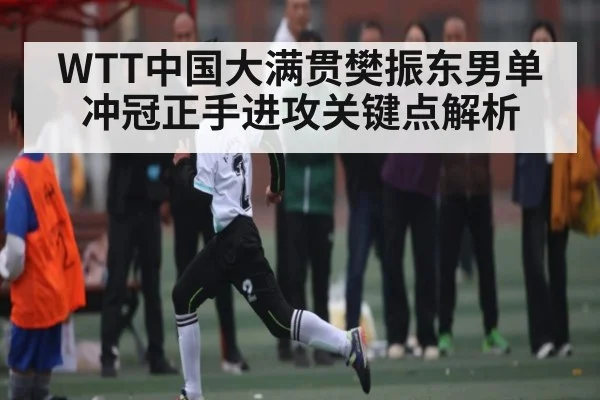 WTT中国大满贯樊振东男单冲冠正手进攻关键点解析 | kaiyun
