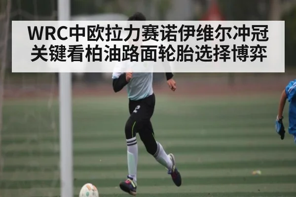 WRC中欧拉力赛诺伊维尔冲冠关键看柏油路面轮胎选择博弈